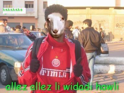 sir   afar9ate  la  hwala